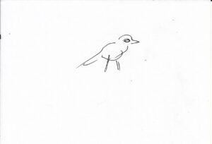 IMG_0001